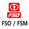 FSO FSM Brisk Spark Plugs Tuning LPG CNG LNG Metan Swiece Zaplonowe