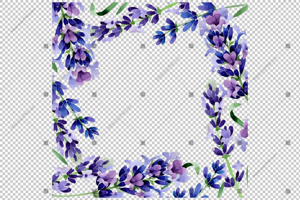 Purple lavender sprig watercolor frame flowers PNG | WatercolorPNG
