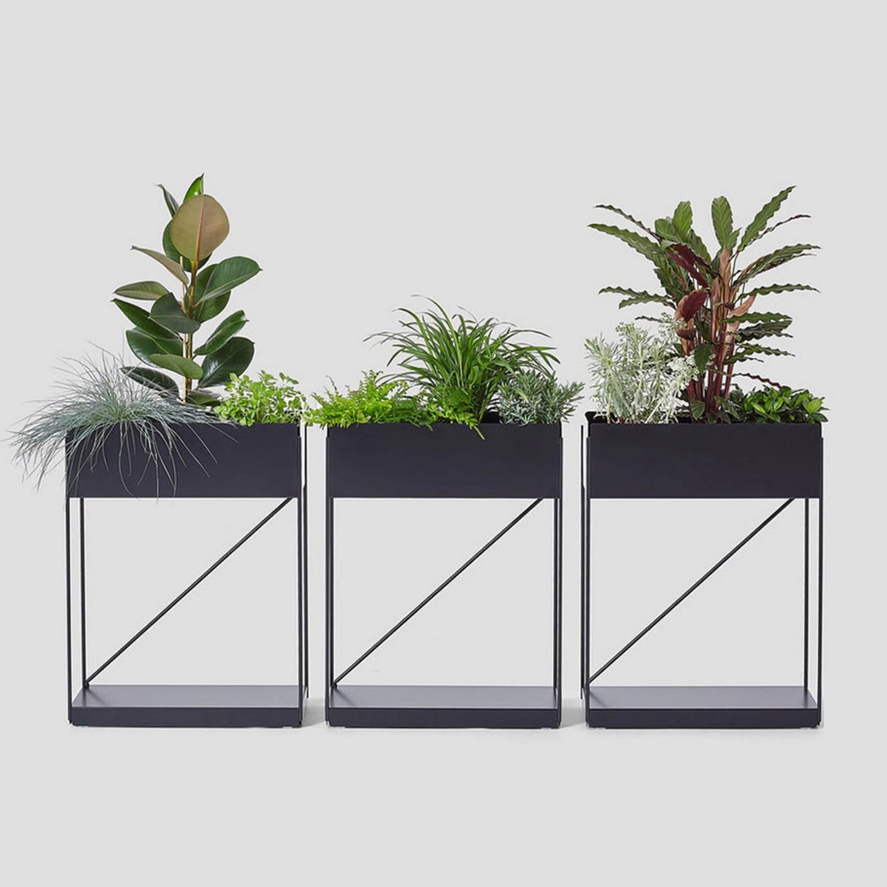 insitu