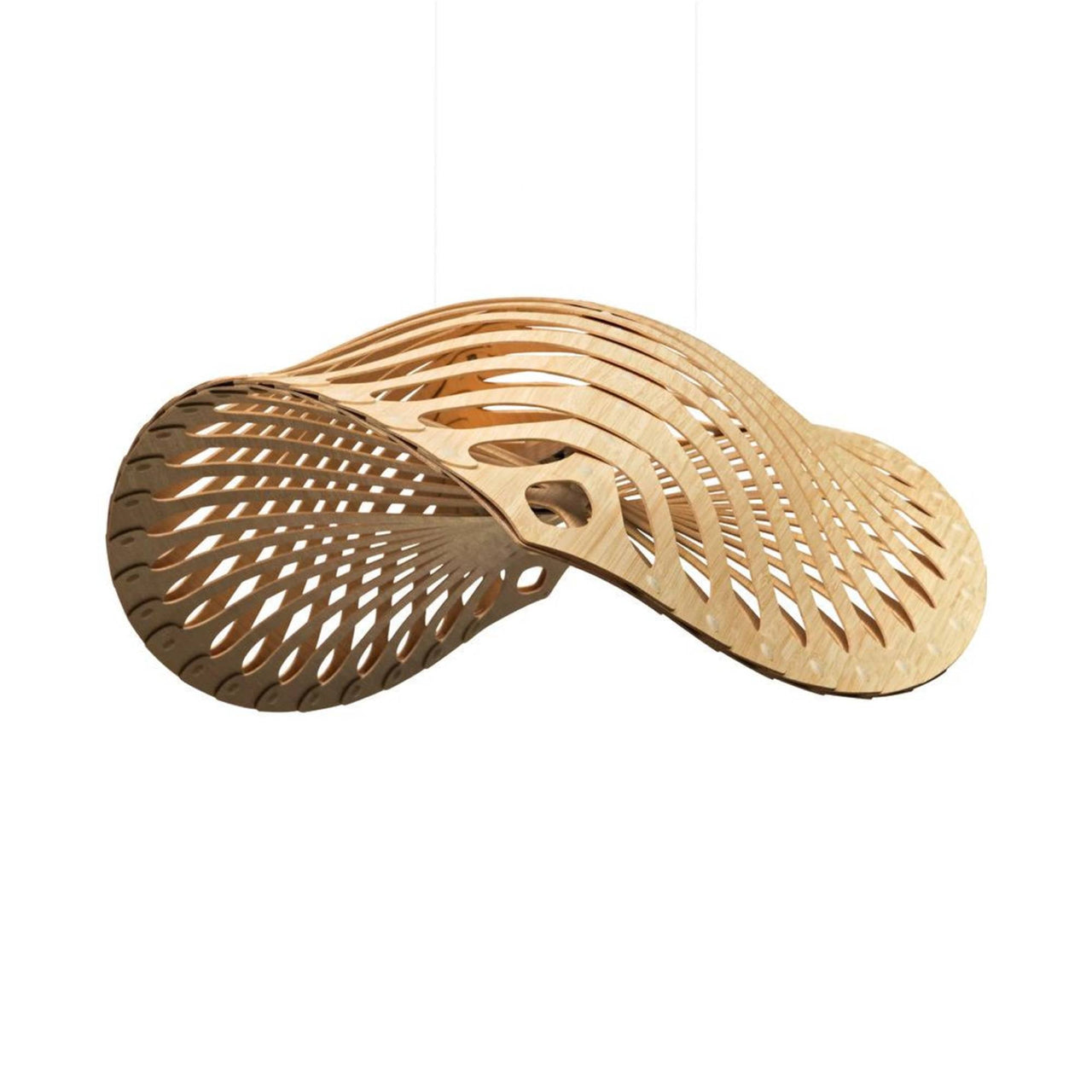 Navicula Pendant Light: Large