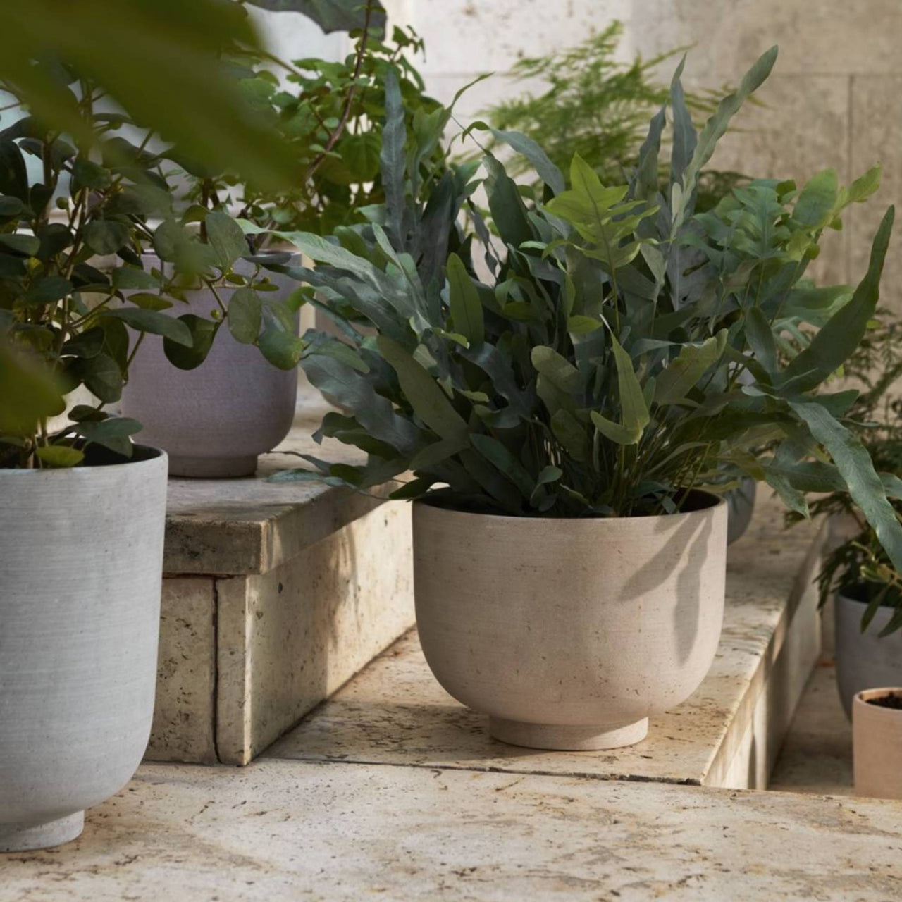 Collect Planters: SC69 + SC70 + SC71 + SC72