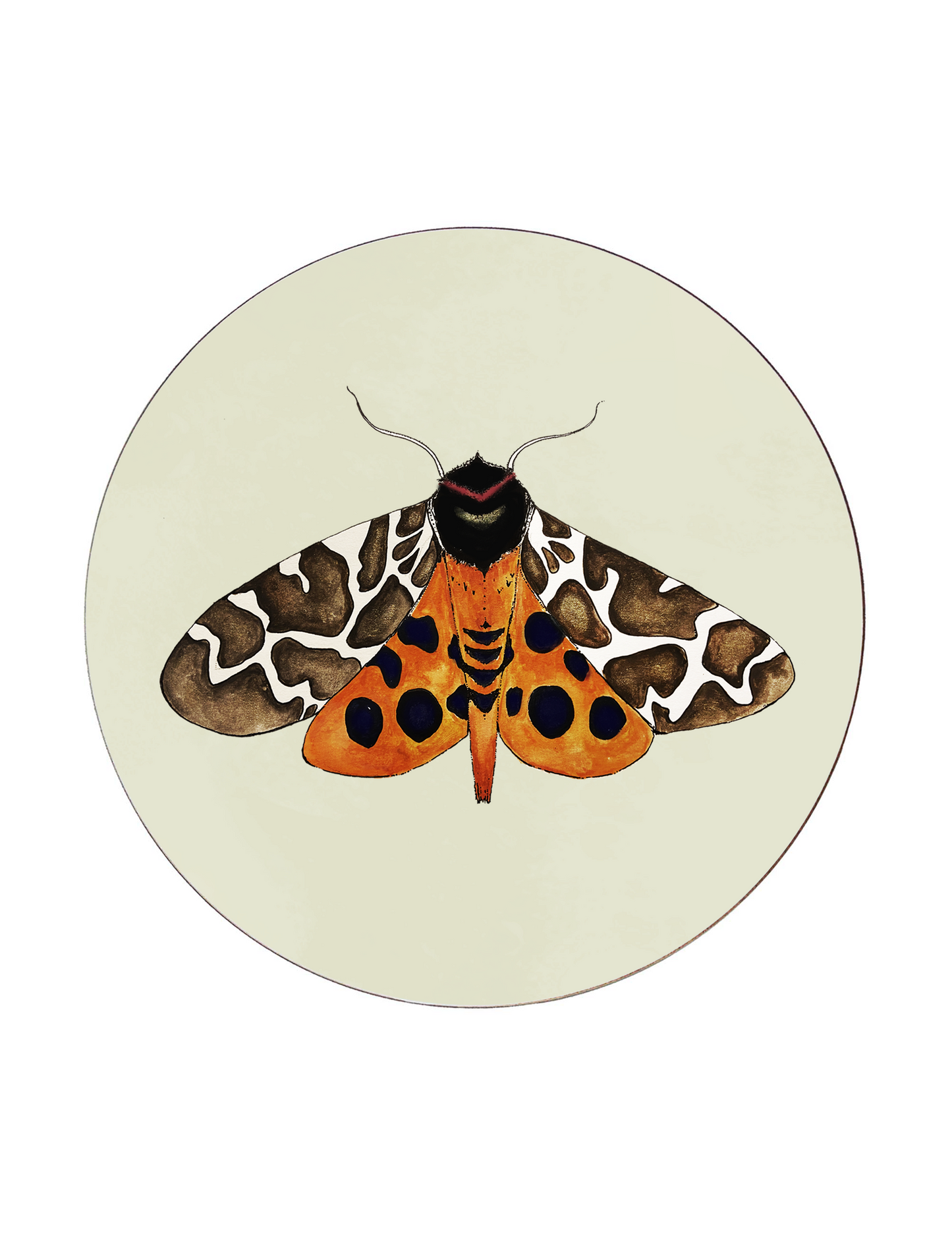 Tiger Moth Placemat