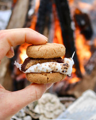 Gluten Free SMores Partake Foods