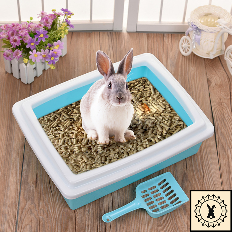 rabbit potty box