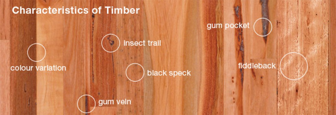 Characteristics of timber