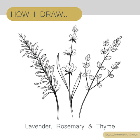 How to draw lavender rosemary and thyme tutorial on patreon, 