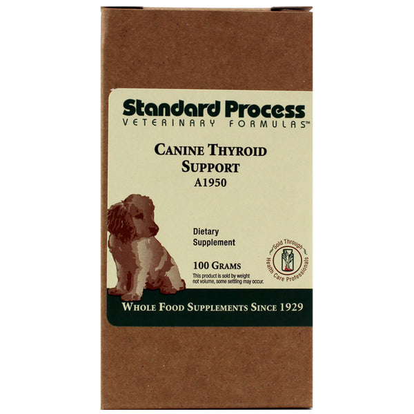 standard process dog supplements