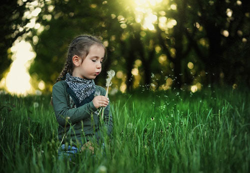 Young girl blows dandelion seeds while sitting in green field