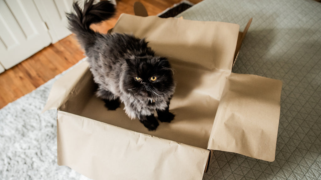 The packaging is cat approved!