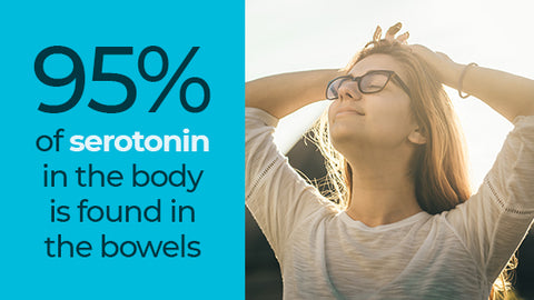 95% of serotonin in the body is found in the bowels