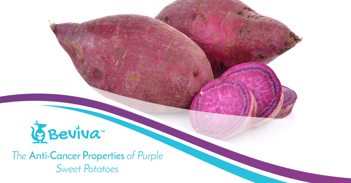 close up of purple sweet potato