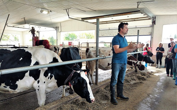 Ferme Fernand et Ginette Breton