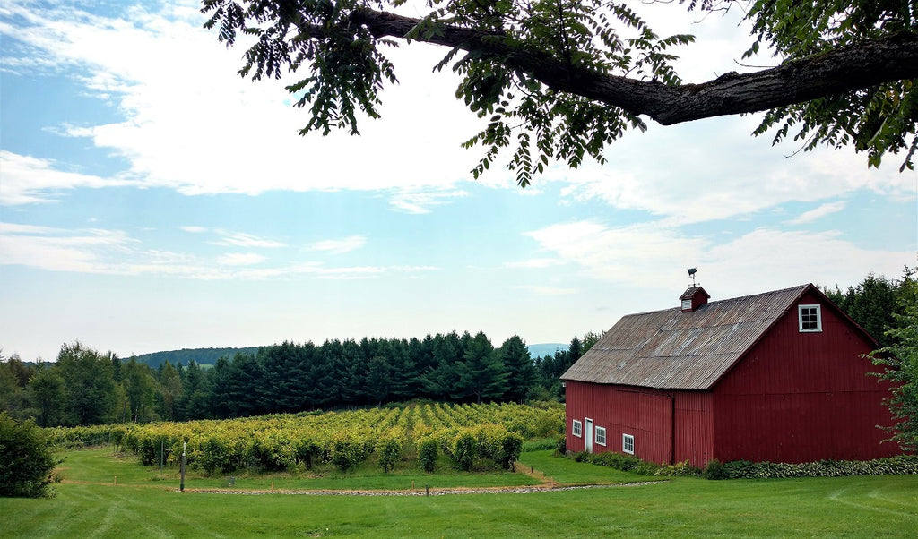 Vignoble Grange Hatley