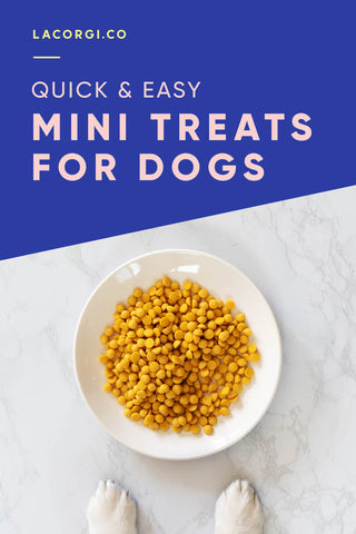 Quick easy mini treats recipe for dogs by LaCorgi