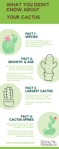 Cactus facts top facts about cactus