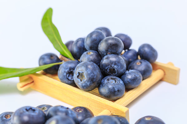 Food that can prevent heart disease - blueberry