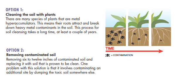 remediation options