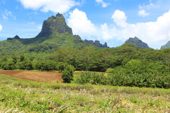 Bali Hai and pineapple fields - Photo by Dawn Shipley