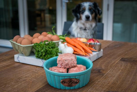 spotted dog looks at egg, meat squares, and parsley on a table