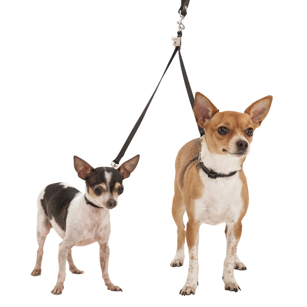 double dog leash