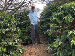 Picking some coffee beans
