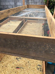 Drying beds