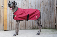 Extra large dog coats for great danes and large dog breeds by Ginger Ted