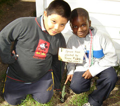 Children planting tree seedlings