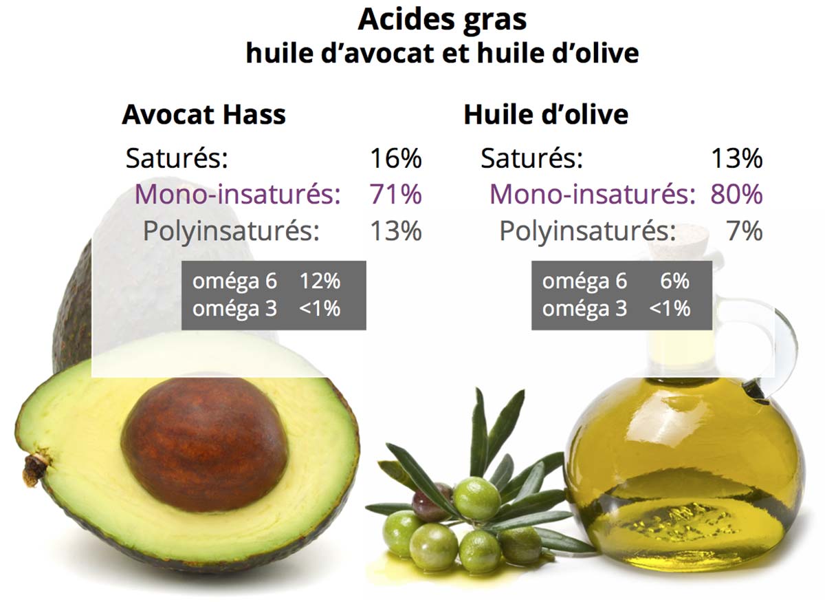 Comparaison répartition en acides gras huile avocat Hass et huile d'olive