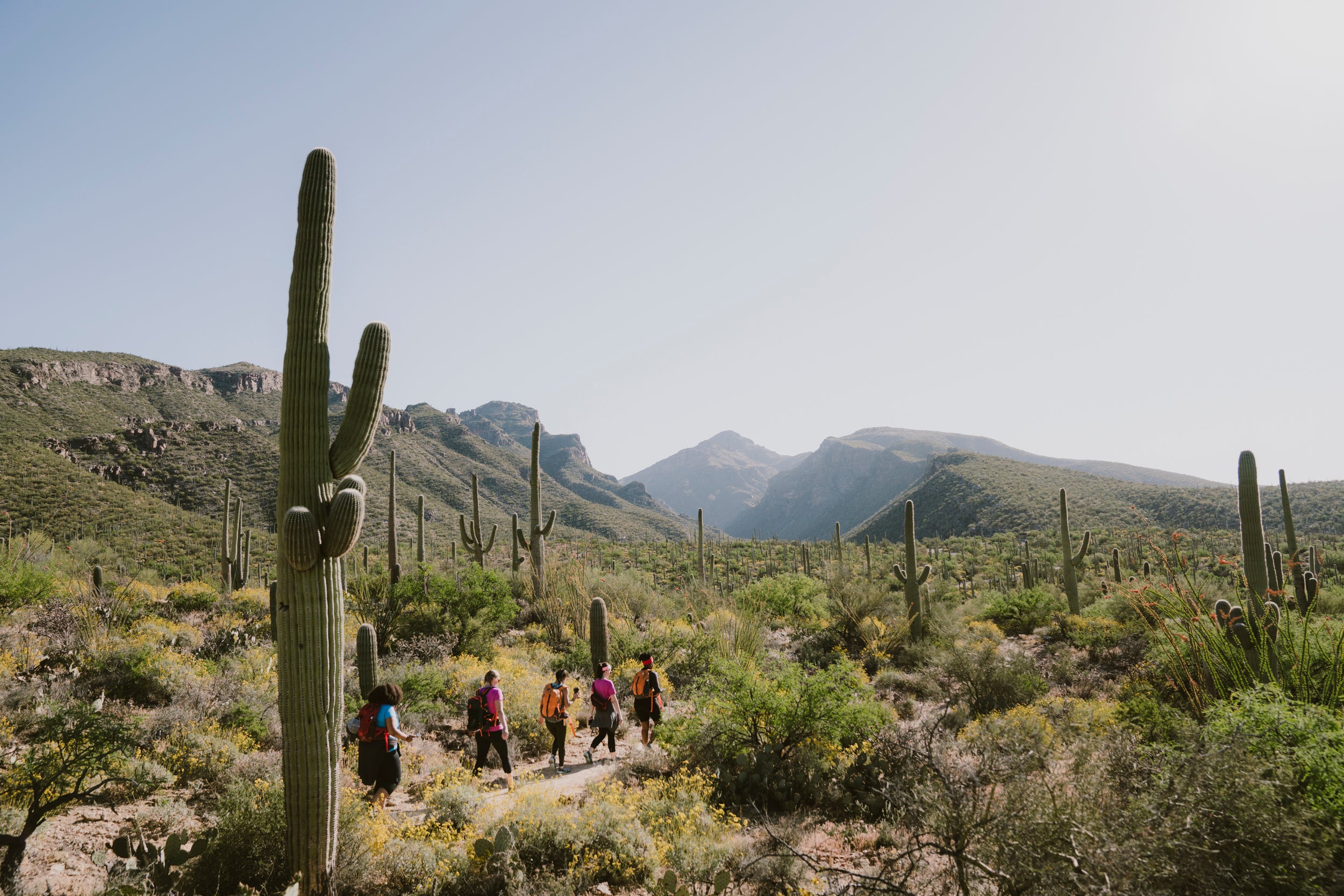 Outdoor Journal Tour & We Hike To Heal