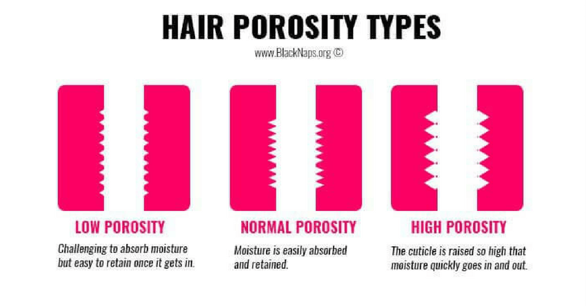 hair-porosity-levels-1