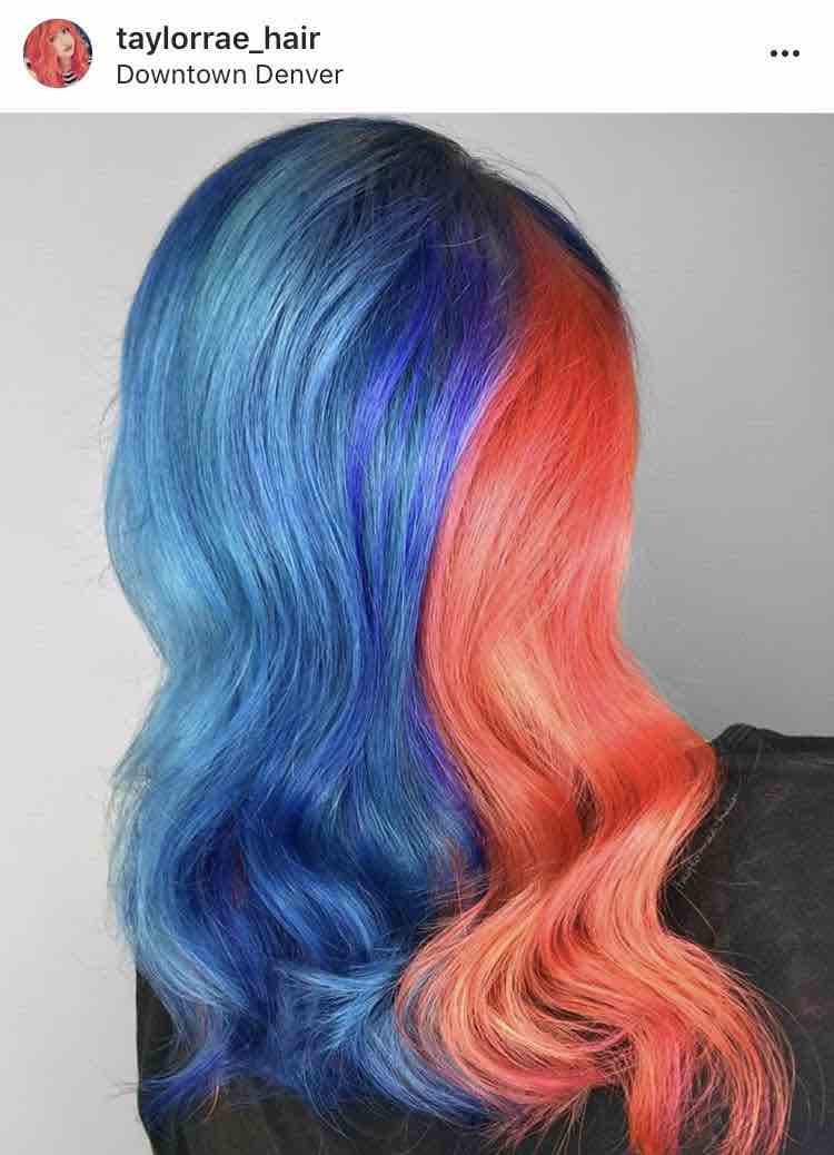 Taylor rae hair Drip Hair Color Technique 3