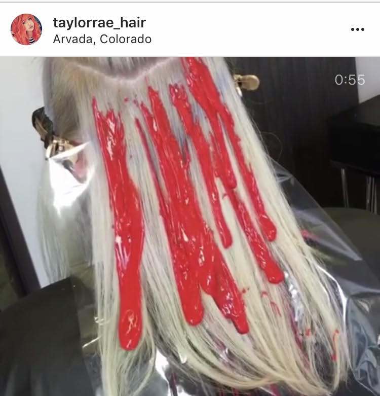 Taylor rae hair Drip Hair Color Technique 4