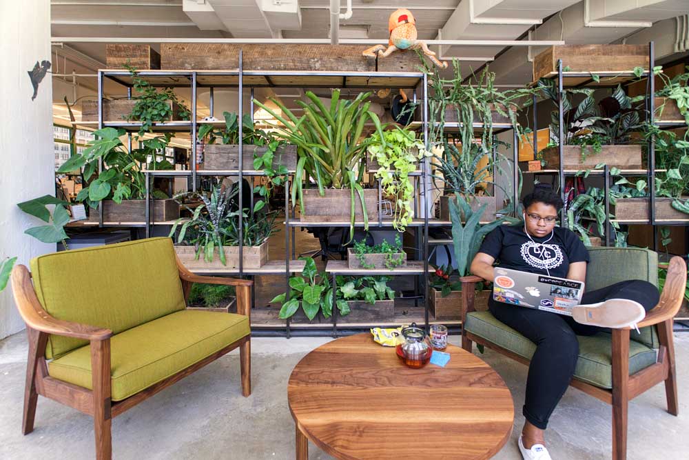 Green Wall at Etsy HQ by Greenery NYC.