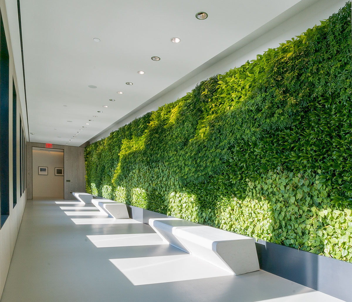 Green Wall Installation at One Manhattan Square