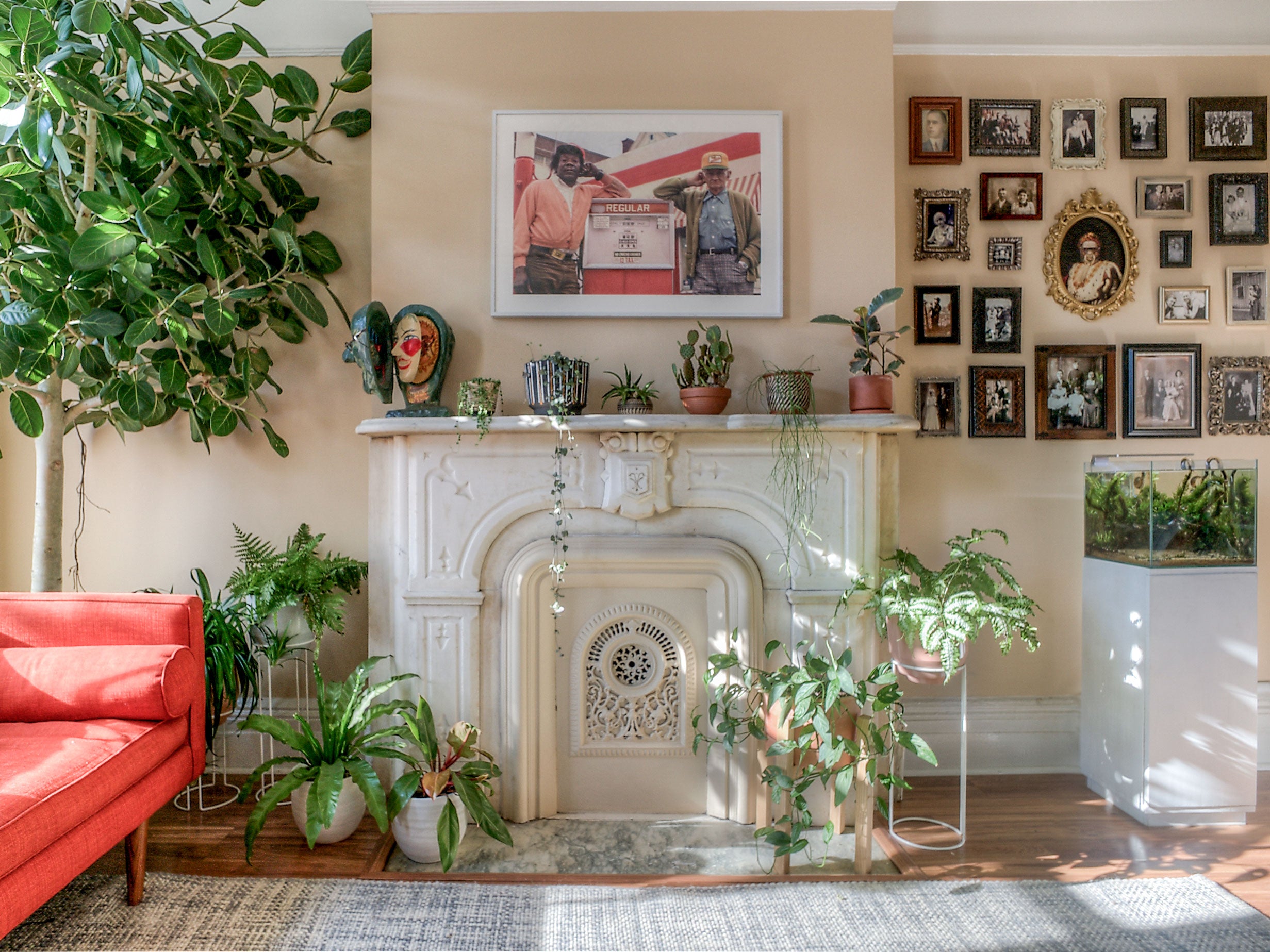 Indoor Plant Design