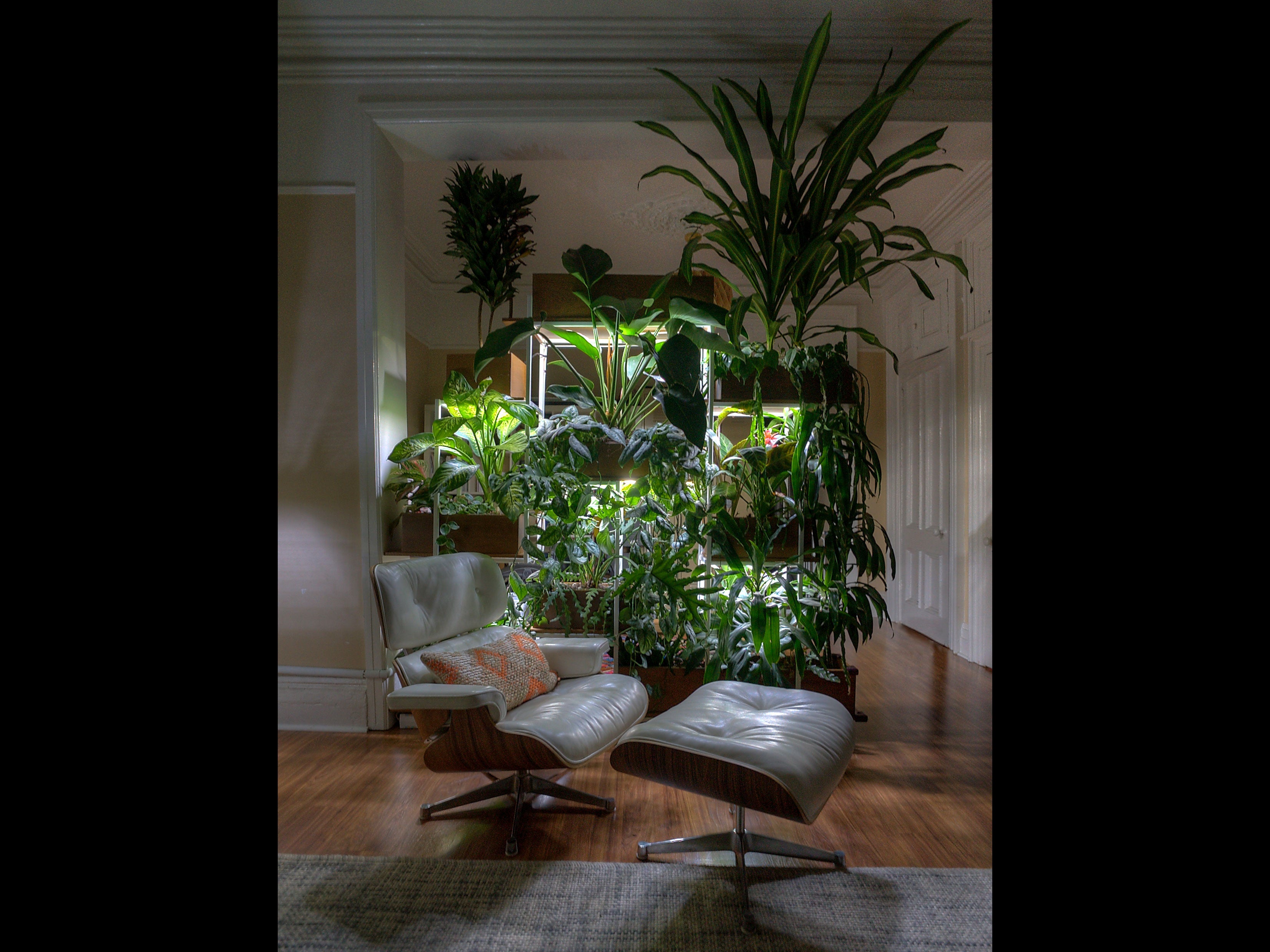 Indoor Plant Design