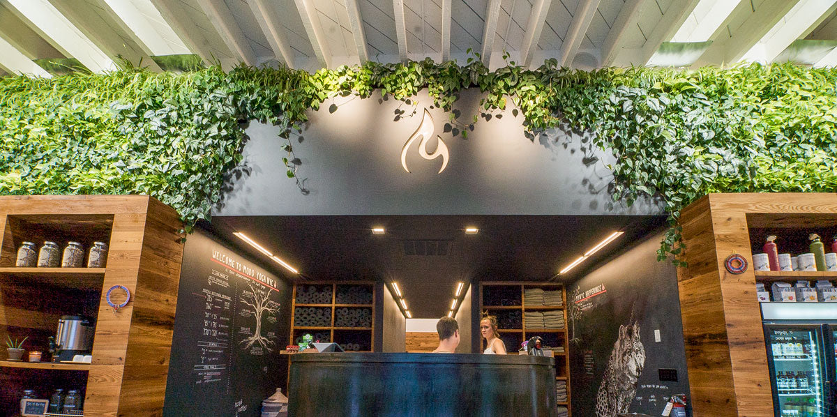 Living Wall at a Yoga Studio in Williamsburg, Brooklyn.