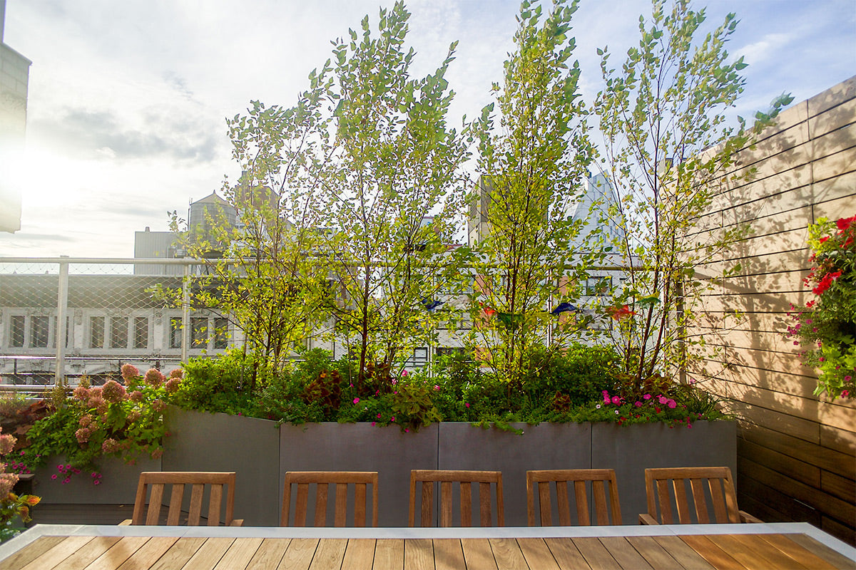 NYC Terrace Landscaping