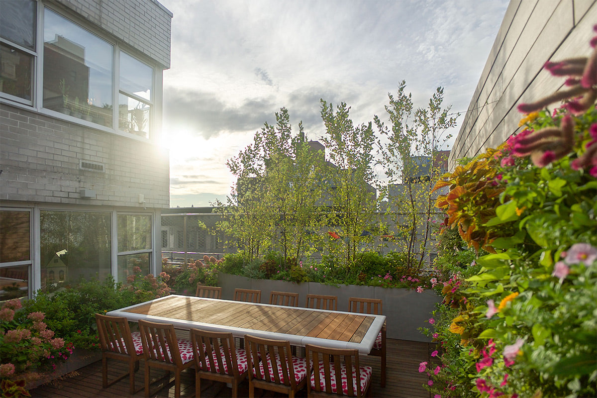 NYC Terrace Landscaping