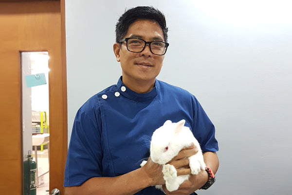 Neutering Rabbits Philippines Doc Nielsen Donato