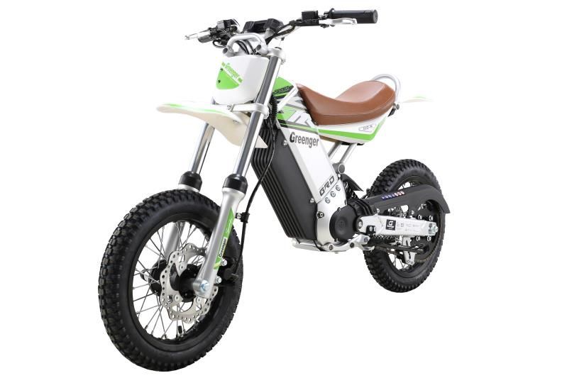 electric dirt bike 2000w