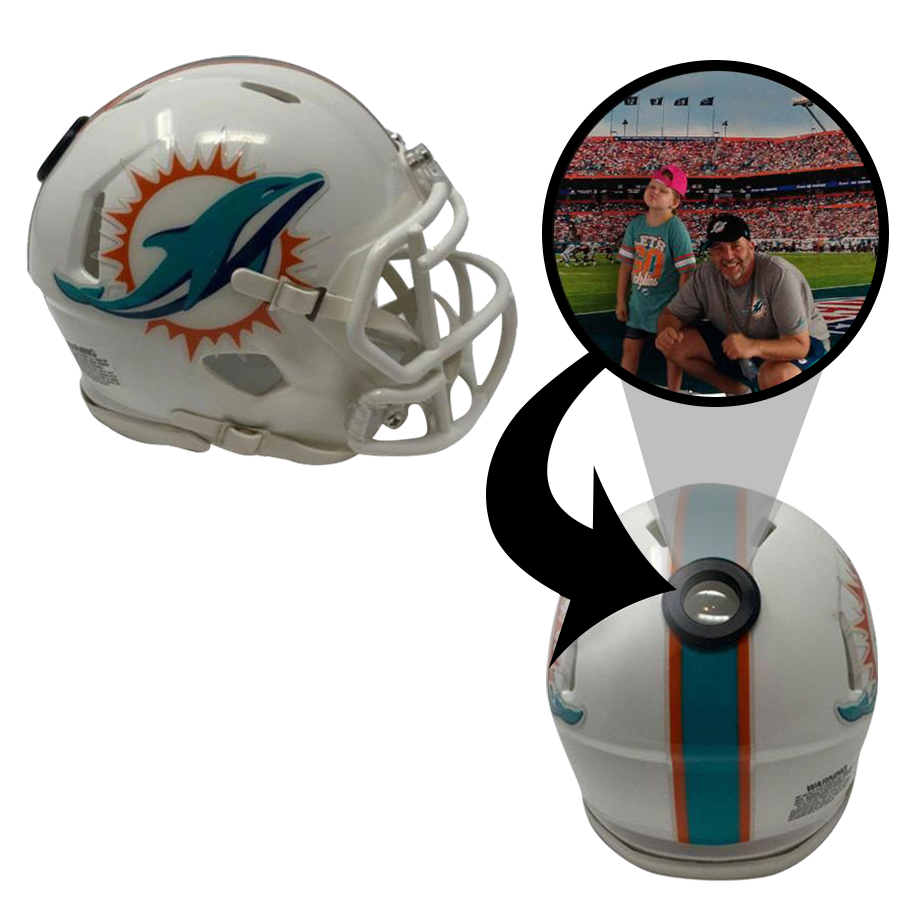 Miami Dolphins NFL Collectible Mini 