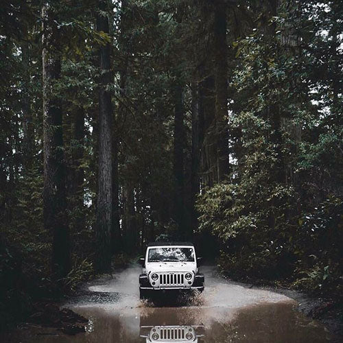 A Jeep driving in a forest for road trip