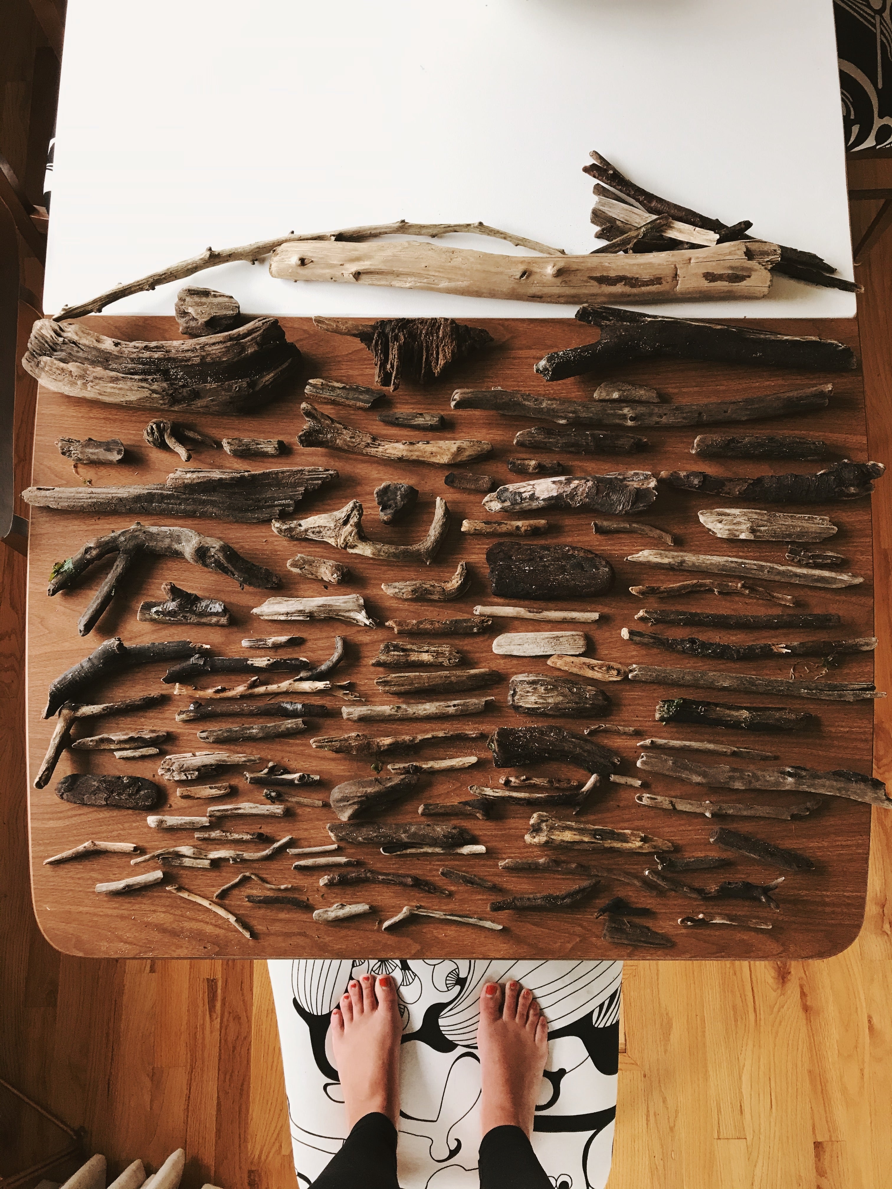 cataloging driftwood wall hanging