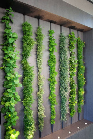 Vertical gardening, levende væg, Vertikale haver, væg planter, hængeplanter, plants, planter, blomster, green living, green homes, grønne hjem, plantevæg 