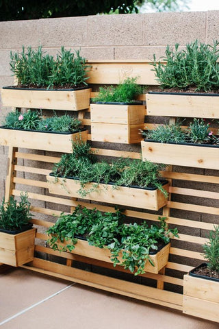 Vertical gardening, levende væg, Vertikale haver, væg planter, hængeplanter, plants, planter, blomster, green living, green homes, grønne hjem, plantevæg 