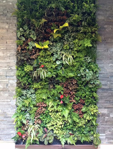 Vertical gardening, levende væg, Vertikale haver, væg planter, hængeplanter, plants, planter, blomster, green living, green homes, grønne hjem, plantevæg 