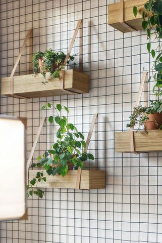 Vertical gardening, levende væg, Vertikale haver, væg planter, hængeplanter, plants, planter, blomster, green living, green homes, grønne hjem, plantevæg 