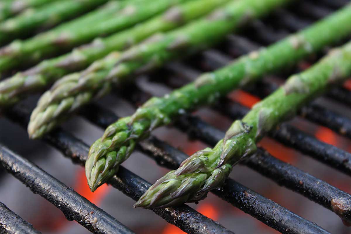 vegetarian option of asparagus for backyard bbq party